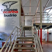Museo dell' ocarina - Pierluigi Mioli - Budrio (BO)