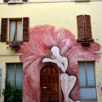 I muri dipinti di Dozza - Cinzia Sartoni - Dozza (BO)