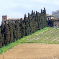 Castello di Ribano visto dal fondovalle del Rubicone - Enealuigifrancesco - Savignano sul Rubicone (FC)