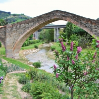 Ponte San Donato - Milena di nella - Modigliana (FC)