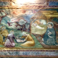 Scuola bolognese, ciclo dell'abbazia di pomposa, 1350 ca., nuovo testamento, 02 nativitÃ  - Sailko - Codigoro (FE)