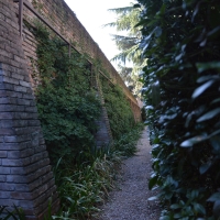 Camminata muro - Laura Dolcetti - Ferrara (FE)