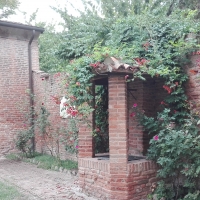 Cortile della casa di Ariosto - Aivalfantastic - Ferrara (FE)
