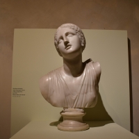 Busto di Niobe, collezione Riminaldi, Palazzo Bonacossi, Ferrara - Nicola Quirico - Ferrara (FE)