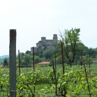 Il Castello di Torrechiara e le sue colline - Le.laura - Langhirano (PR)