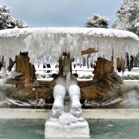 Gelo sulla fontana dei 4 cavalli - GianlucaMoretti - Rimini (RN)